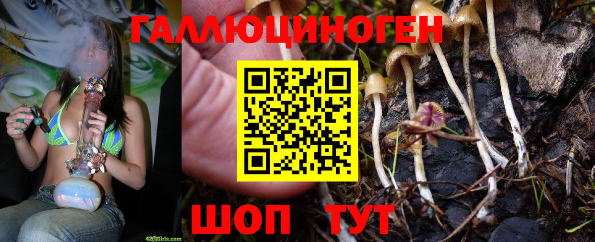 Псилоцибиновые грибы Psilocybine cubensis  Вход с VPN  Тверь 