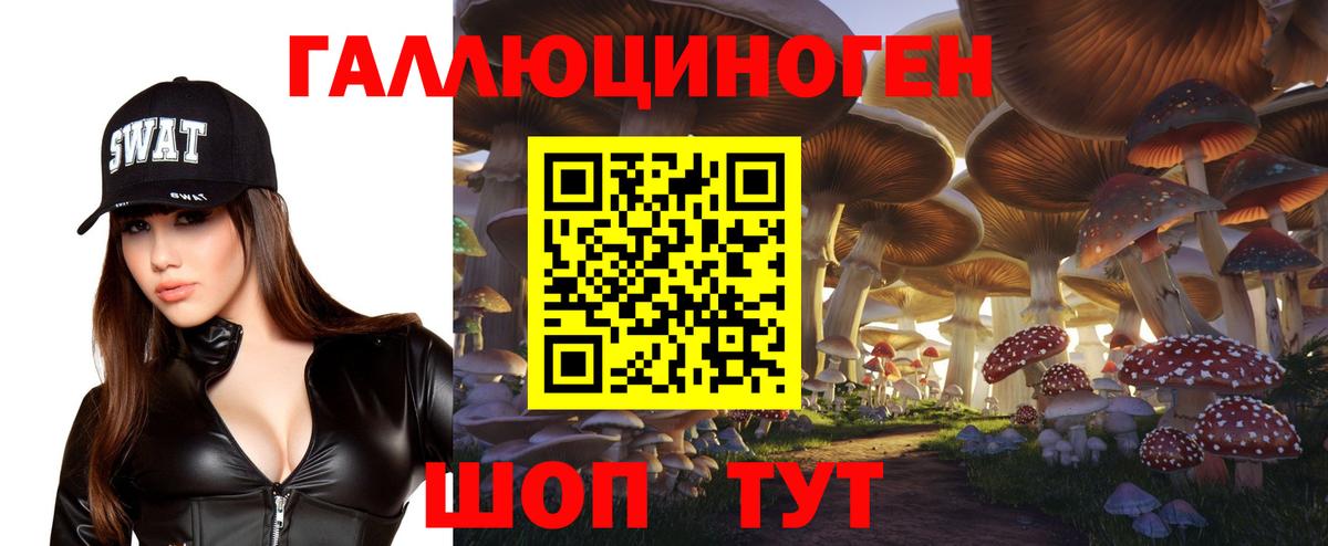 Галлюциногенные грибы GOLDEN TEACHER Тверь
